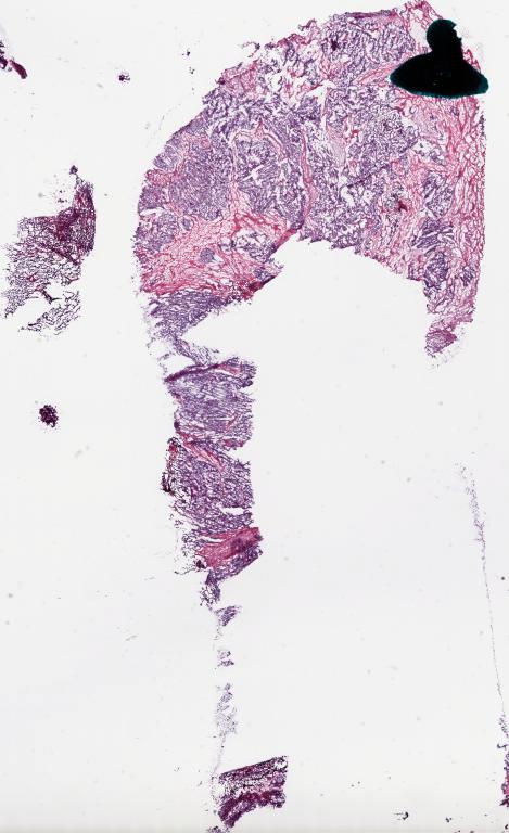Slide Thumbnail