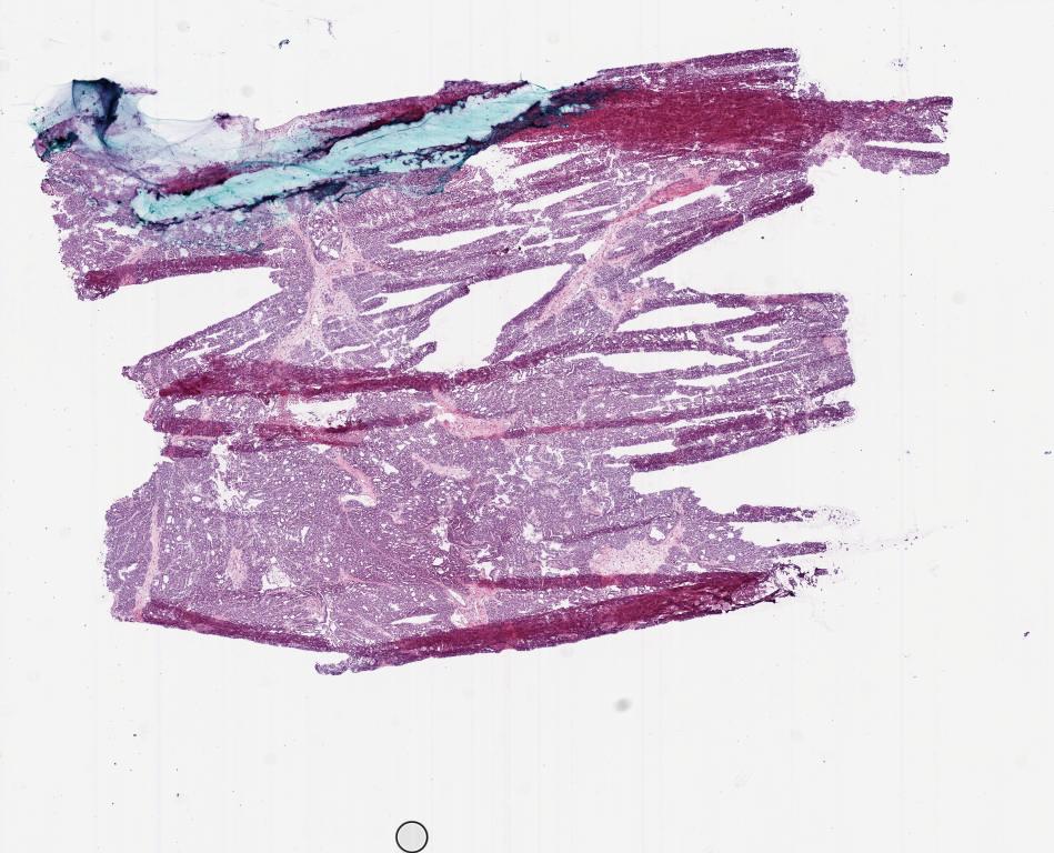 Slide Thumbnail