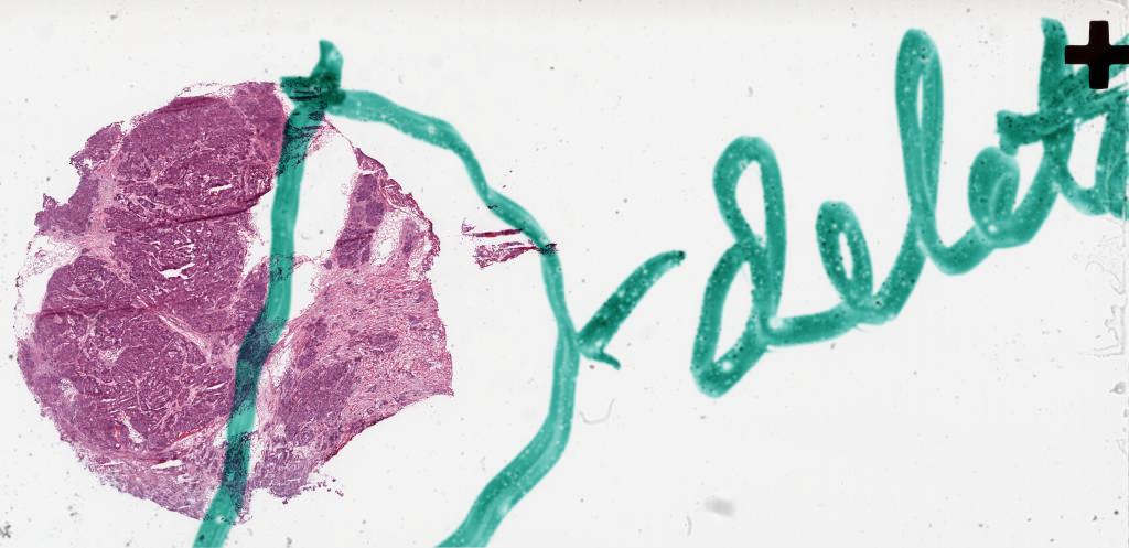 Slide Thumbnail
