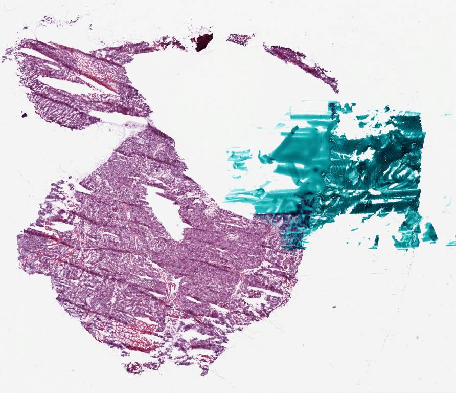 Slide Thumbnail