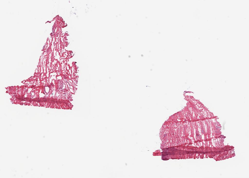 Slide Thumbnail
