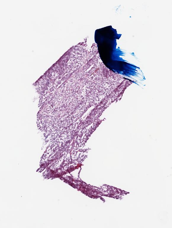 Slide Thumbnail