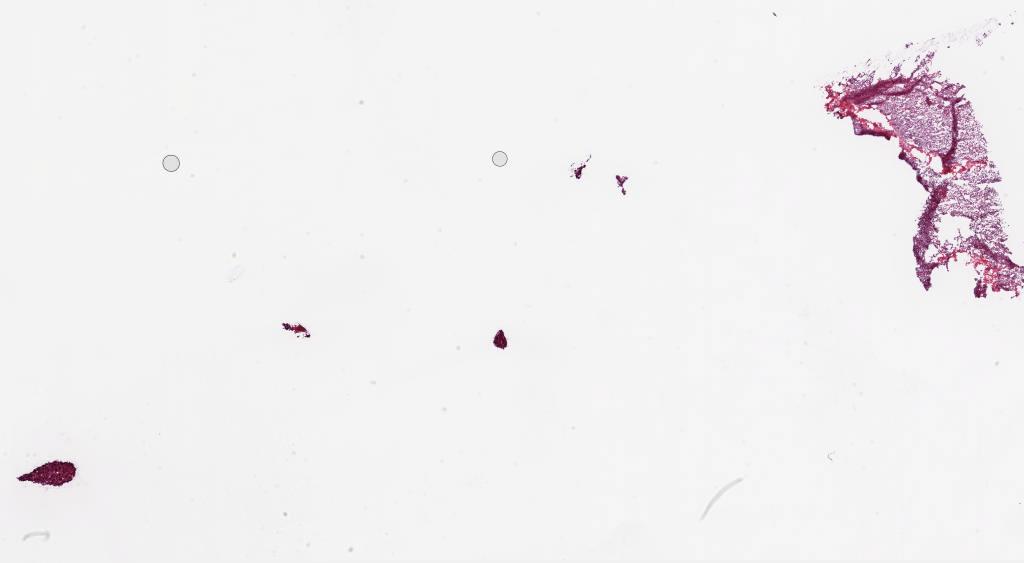 Slide Thumbnail