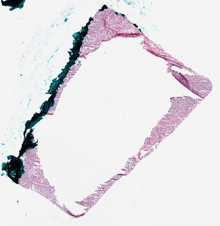 Slide Thumbnail