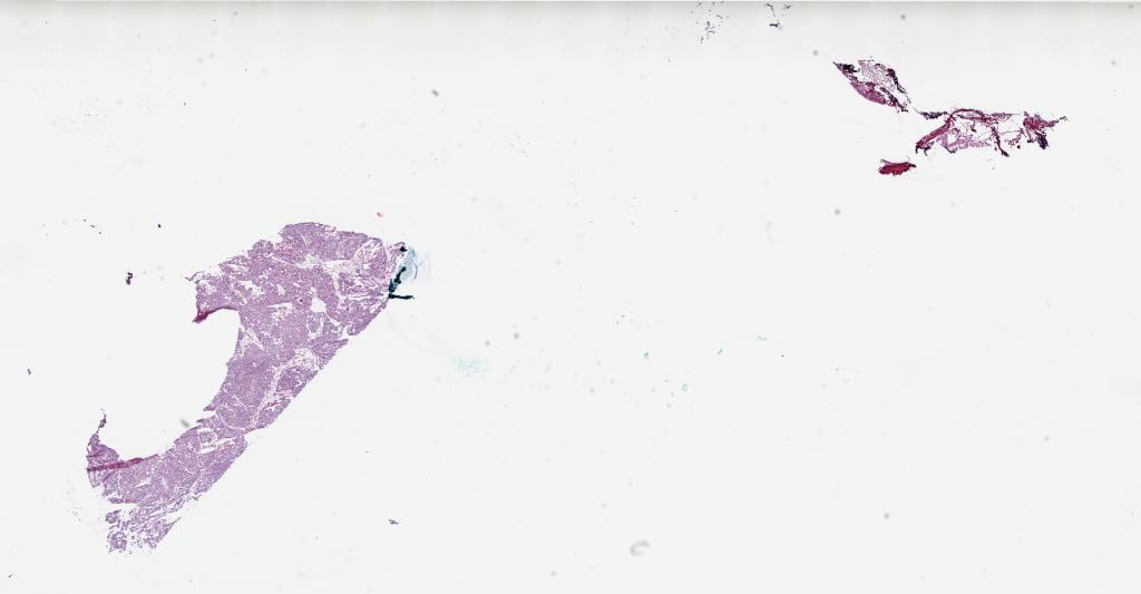 Slide Thumbnail