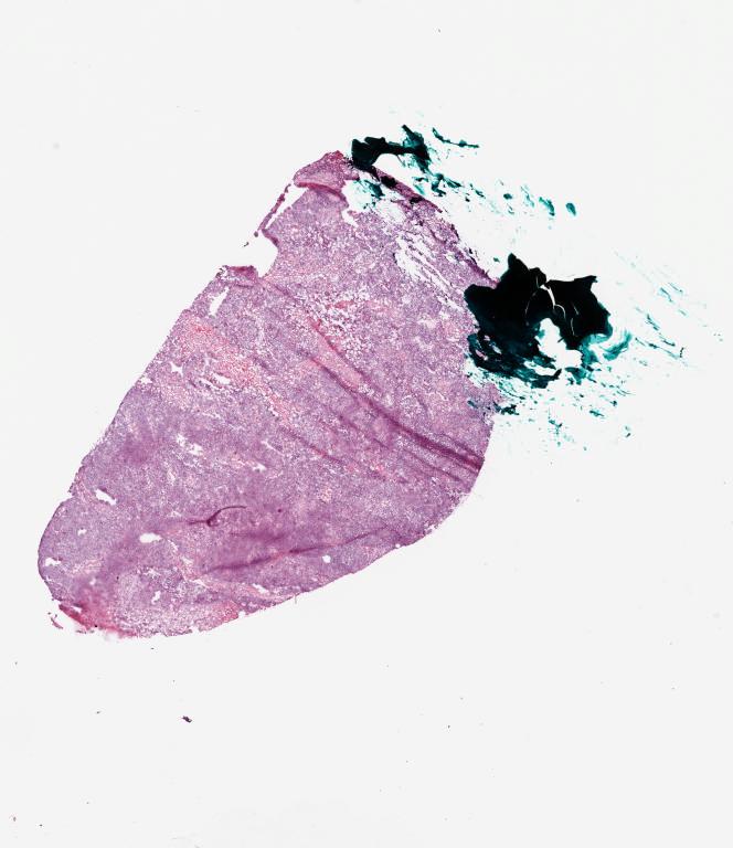 Slide Thumbnail