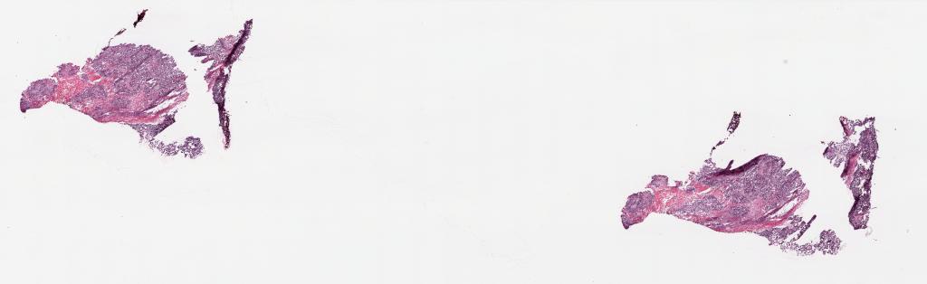 Slide Thumbnail