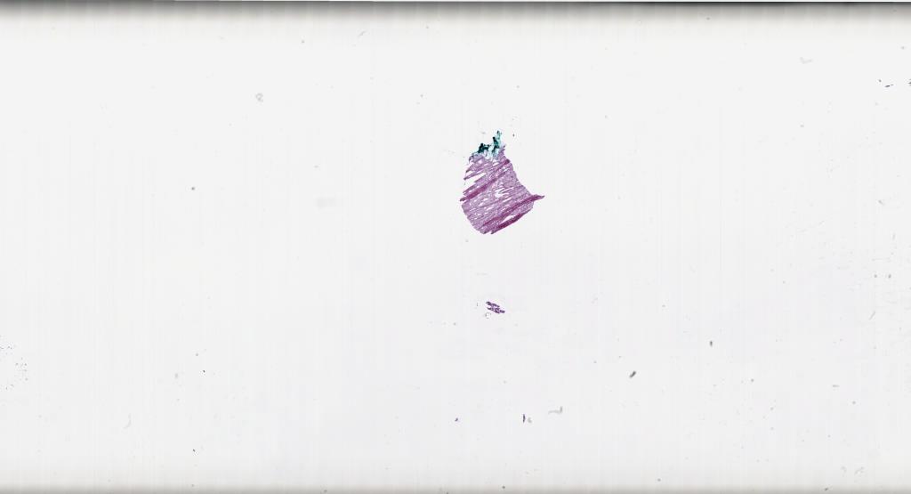 Slide Thumbnail
