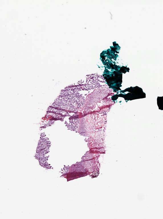 Slide Thumbnail